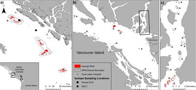 Foundation Species Abundance Influences Food Web Topology on Glass Sponge Reefs